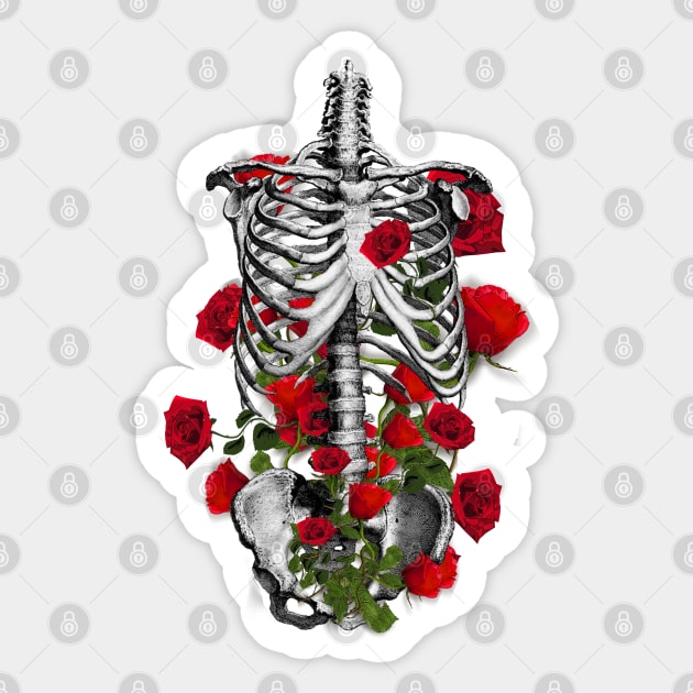 human anatomy rib cage Sticker by Collagedream